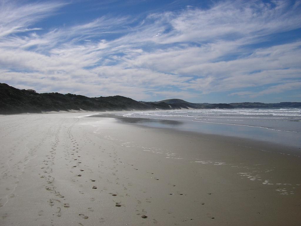 Buccaneers Beach Lodge, Chintsa, South Africa מראה חיצוני תמונה