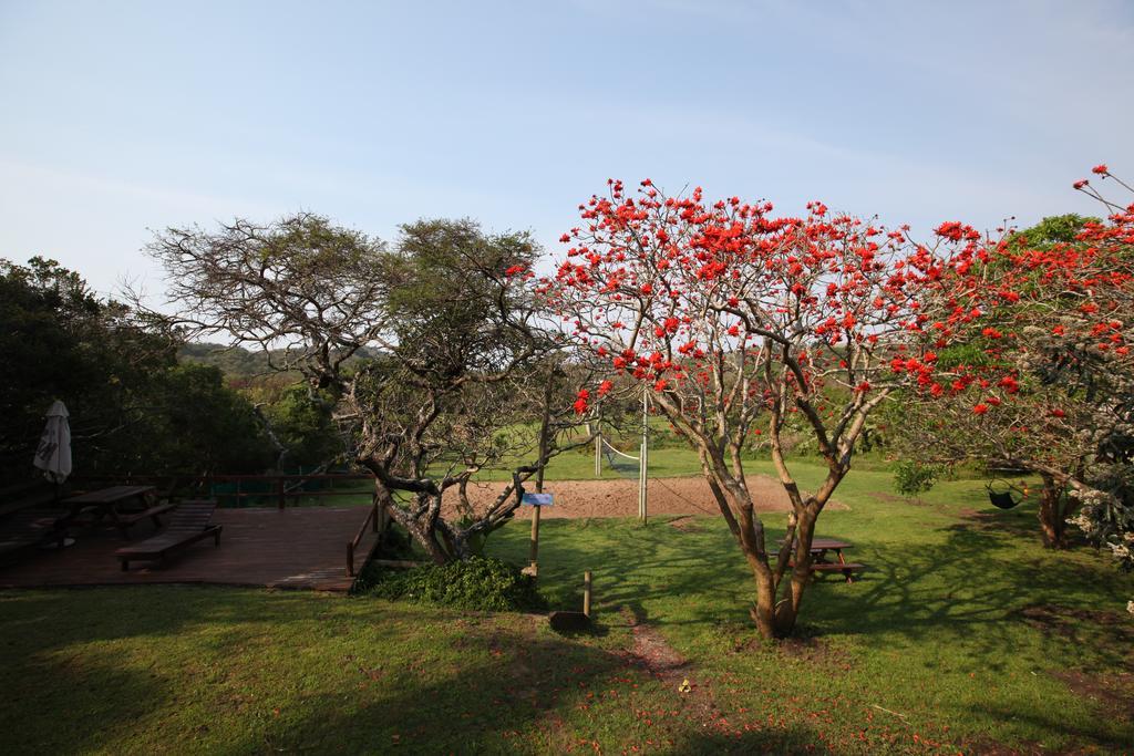 Buccaneers Beach Lodge, Chintsa, South Africa מראה חיצוני תמונה