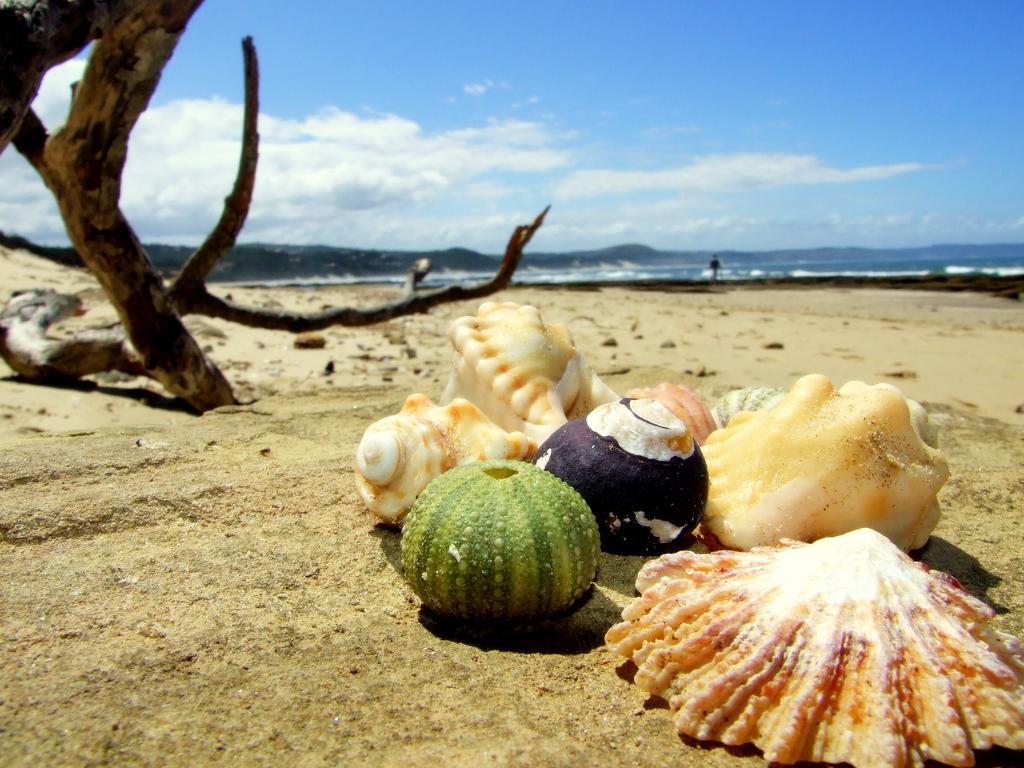 Buccaneers Beach Lodge, Chintsa, South Africa מראה חיצוני תמונה