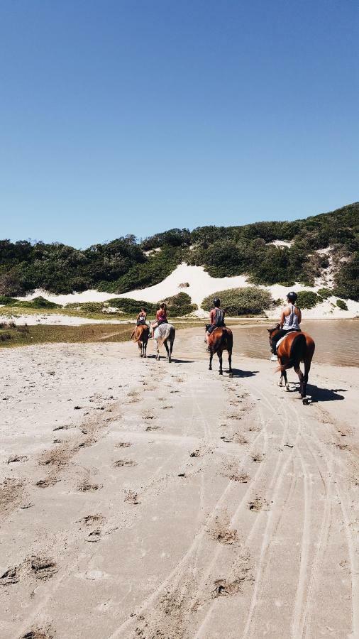 Buccaneers Beach Lodge, Chintsa, South Africa מראה חיצוני תמונה